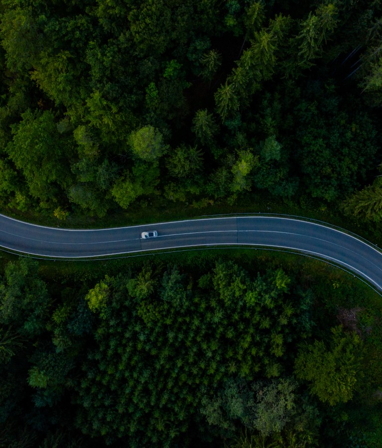 新利luck18(中国)体育·官方网站